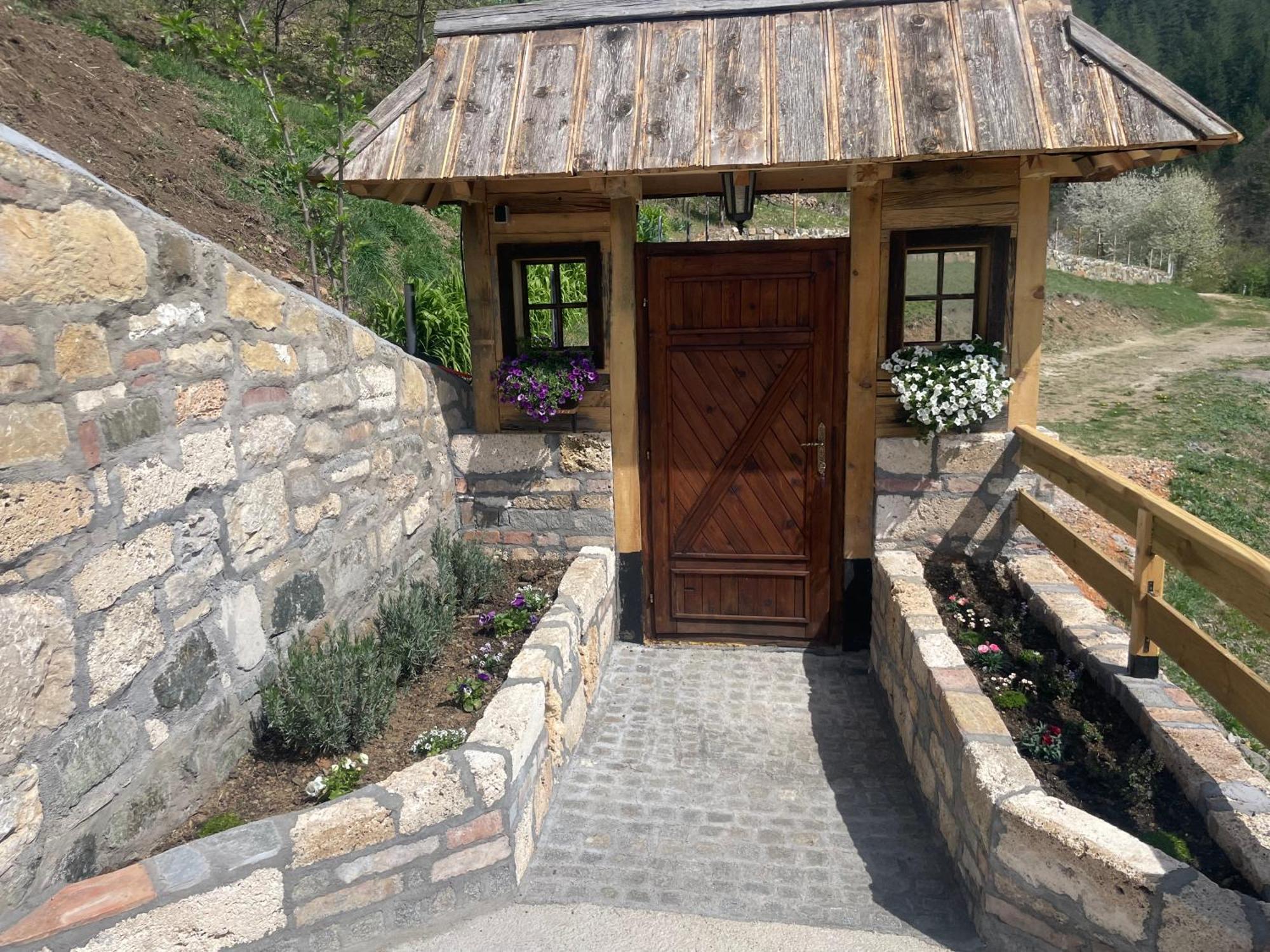 Zemunica Resimic Villa Mokra Gora Ngoại thất bức ảnh